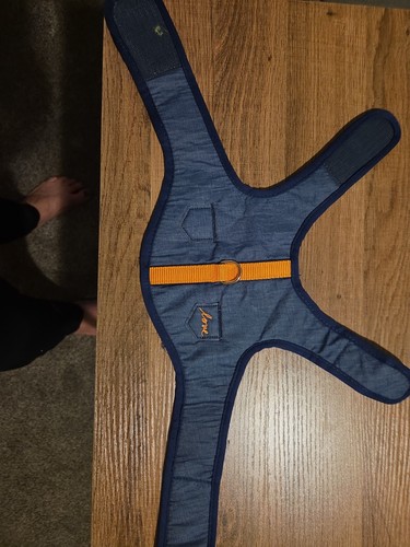 Dog harness blue - dog,