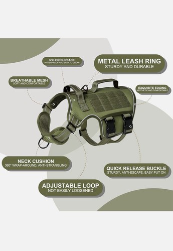 Dog harness - dog,